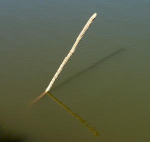 StickInWater